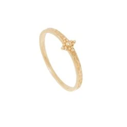 Bague Rose Des Vents (plaqué Or)