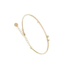 Bracelet Jonc Lisse (Swarovski Blanc)