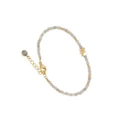 Bracelet Pierres Et Cristal (gris)