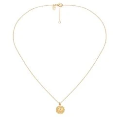 Collier Médaille Astrologique Cancer (doré) 9 Collier Médaille Astrologique Cancer (doré) -Jollia Soldes Magasin collier astro cancer
