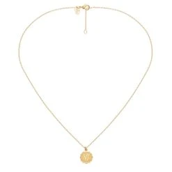 Collier Médaille Astrologique Capricorne (doré) -Jollia Soldes Magasin collier astro capricorne