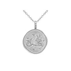 Collier Signe Astro Capricorne (argent) -Jollia Soldes Magasin collier signe astro capricorne argente 1