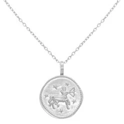 Collier Signe Astrologique Au Choix (argent)