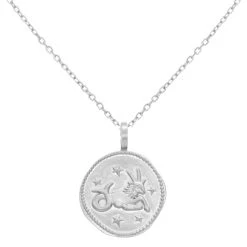 Collier Signe Astro Capricorne (argent)